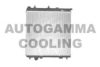 PEUGE 133361 Radiator, engine cooling